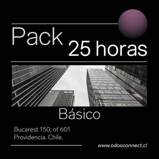 [NR-25P] SERVICIO PACK 25 HRS CONSULTORIA Y ASESORIAS ERP